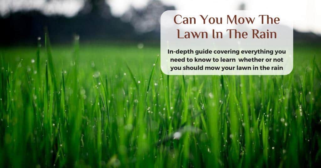 Zturn Mower Care Can You Mow the Lawn in the Rain • Desired Lawn Mower