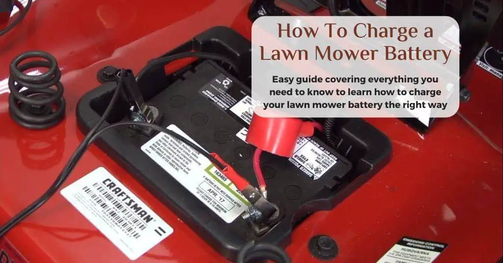 How to Charge a Lawn Mower Battery Easy Guide for Beginners • Desired