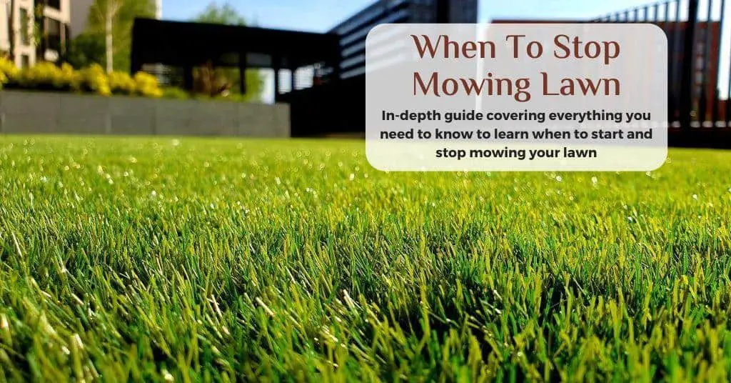 mowing lawn