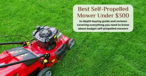 best budget self propelled mower e1615521077342