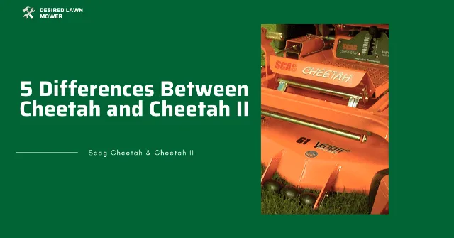Differences differences between scag cheetah and cheetah 2