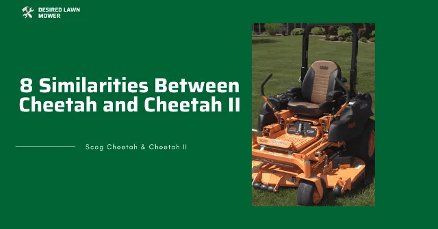 Similarities similarities between scag cheetah and cheetah ii